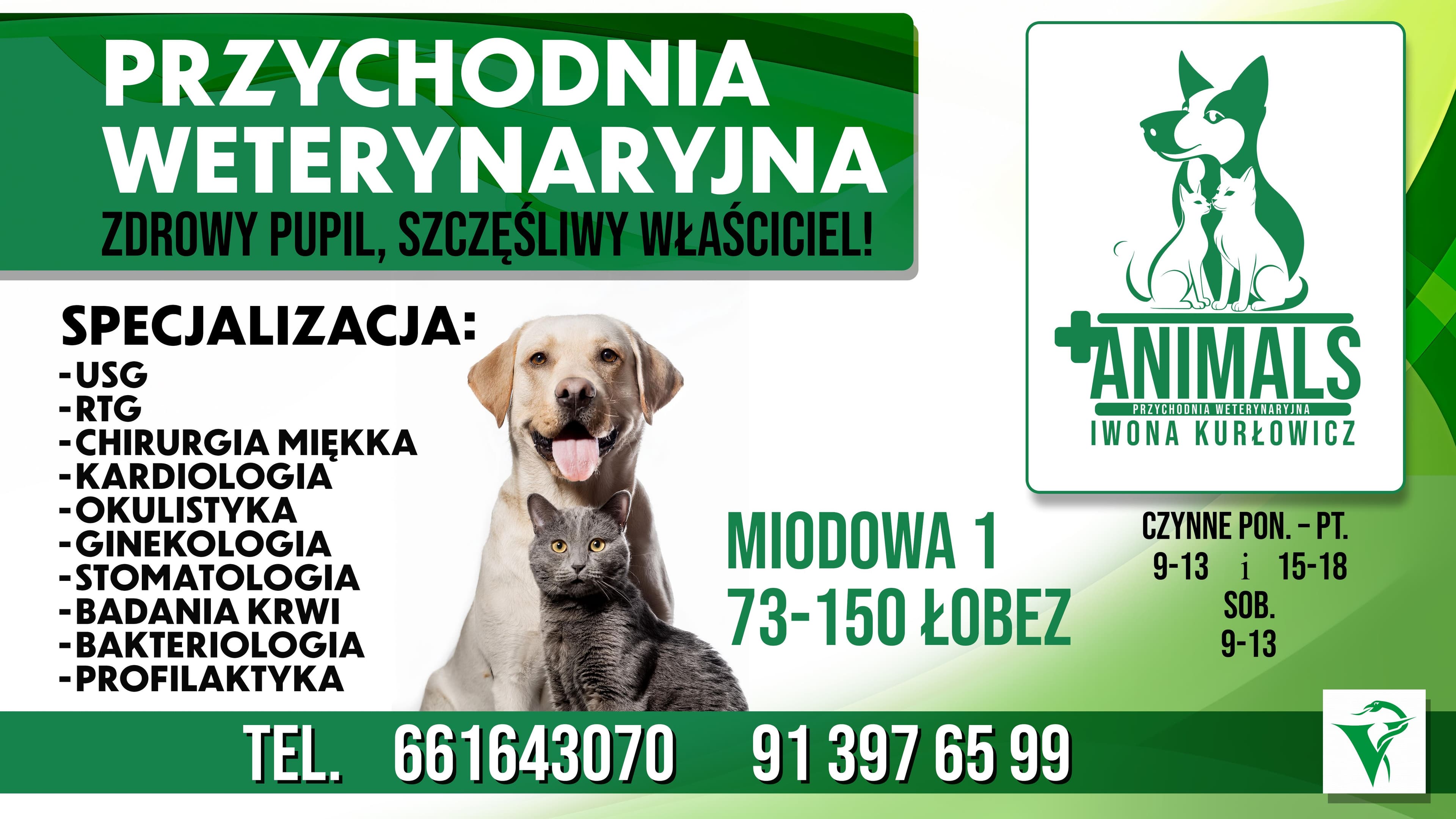 Brak zdjęcie